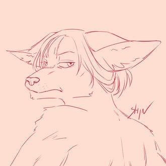 Inck (BSD OC but Furry)